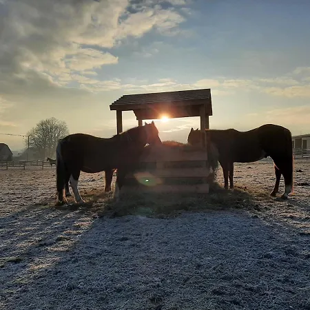 בית הארחה Familien- Und Lerchenberghof