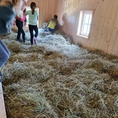 Familien- Und Lerchenberghof בית הארחה Walddorf (Saxony)
