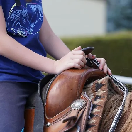 בית הארחה Familien- Und Lerchenberghof *