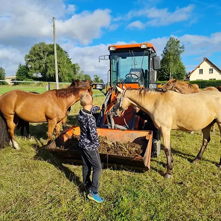 Guest house Lerchenberghof: Barrier-free Family Country With And Activities Walddorf (Saxony)